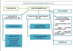 Структура управления ГБДОУ детский сад № 12 комбинированного вида Красногвардейского района Санкт - Петербурга